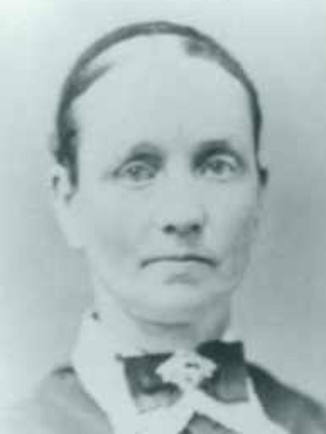 Nanny Lynn Longstroth (1828 - 1911) Profile